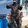 島根県大田市久手港の遊漁船シーラックの釣果ブログ